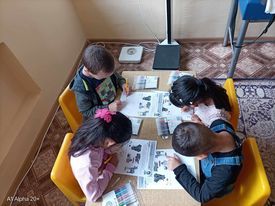 Проекти 1